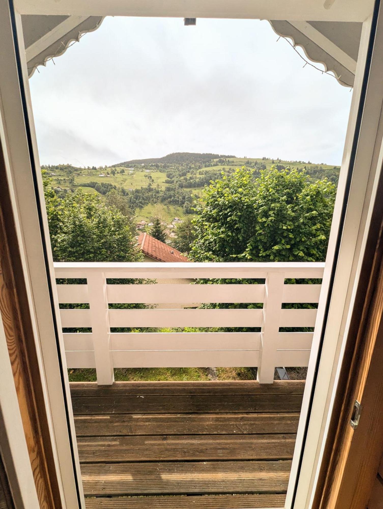 Chalet Sauna Jacuzzi 6 Personnes La Bresse Esterno foto